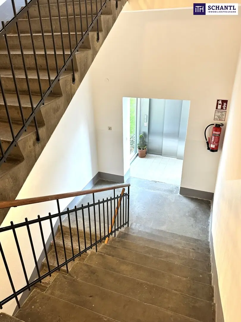 Immobilienbild 3