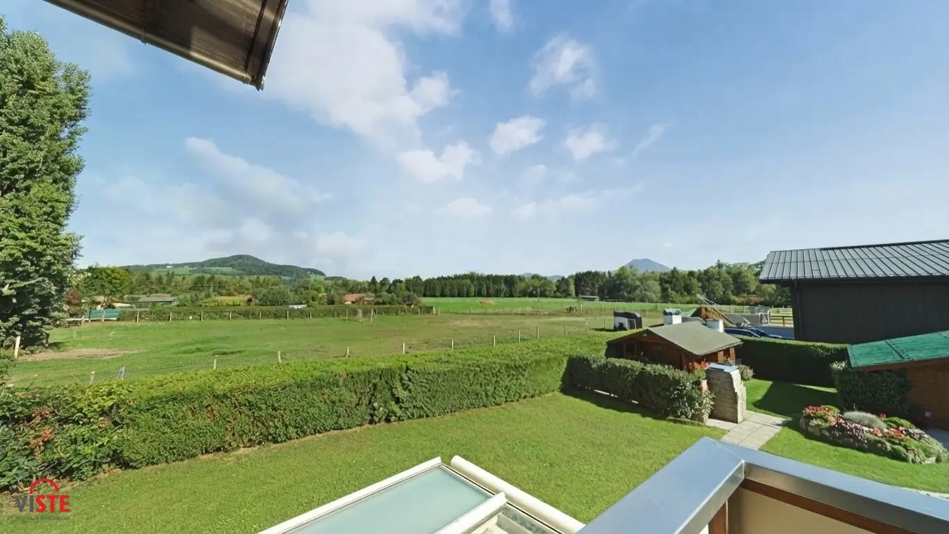 Freier Blick ins Grün