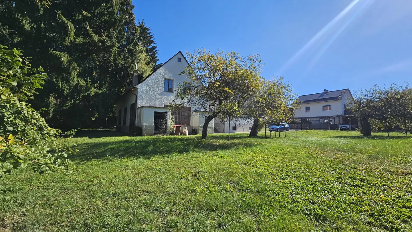 Immobilienbild 3