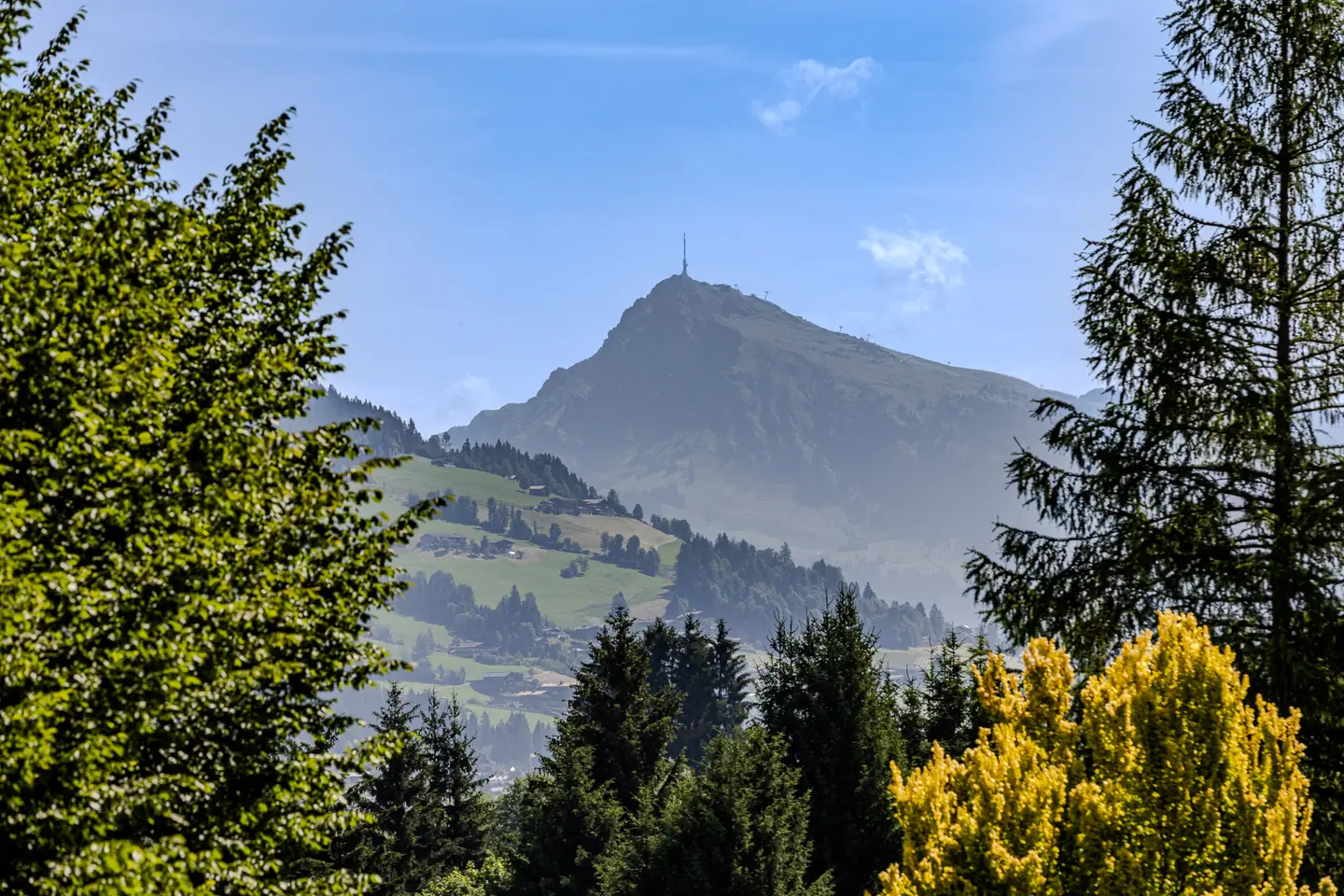 _22A4466-HDR