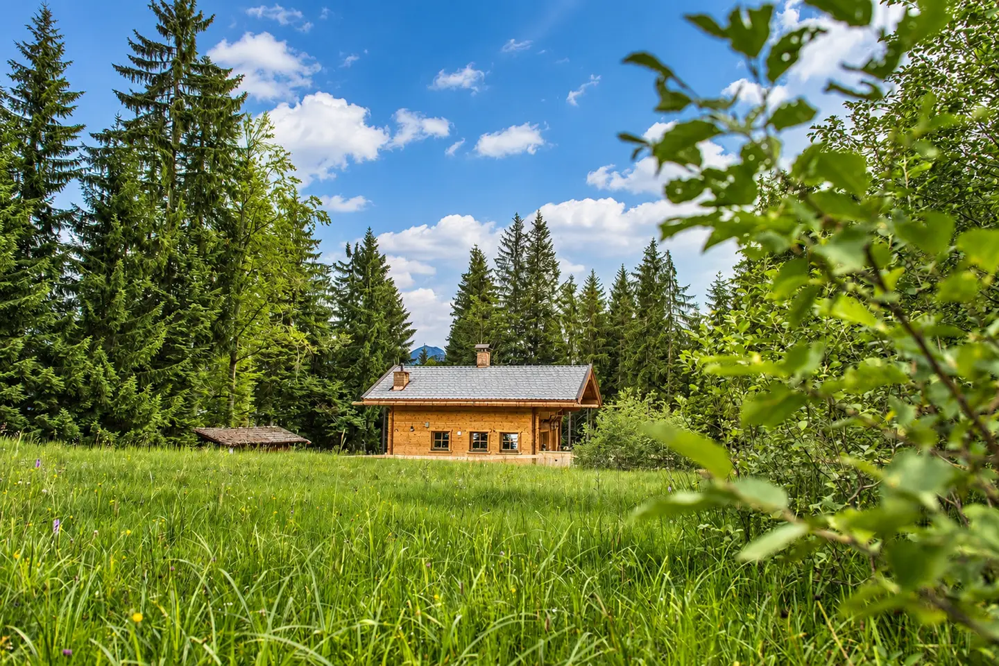 Direkt an der Piste ruhige Ferienwohnung mit Sonnenterrasse
