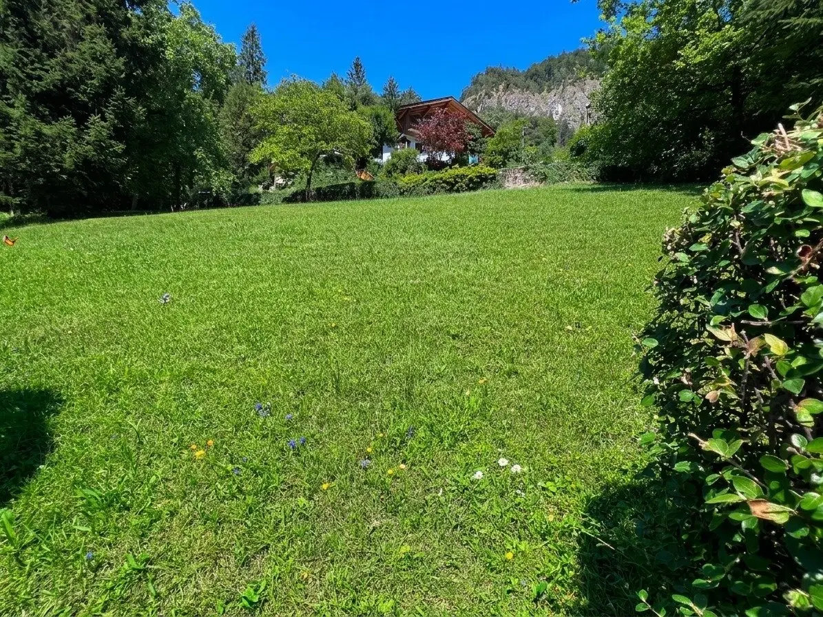 Immobilienbild 2