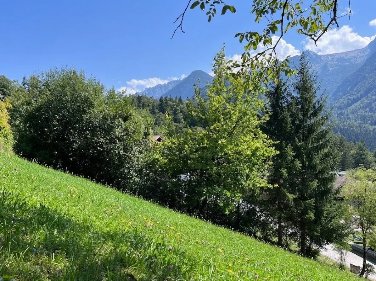 Immobilienbild 3
