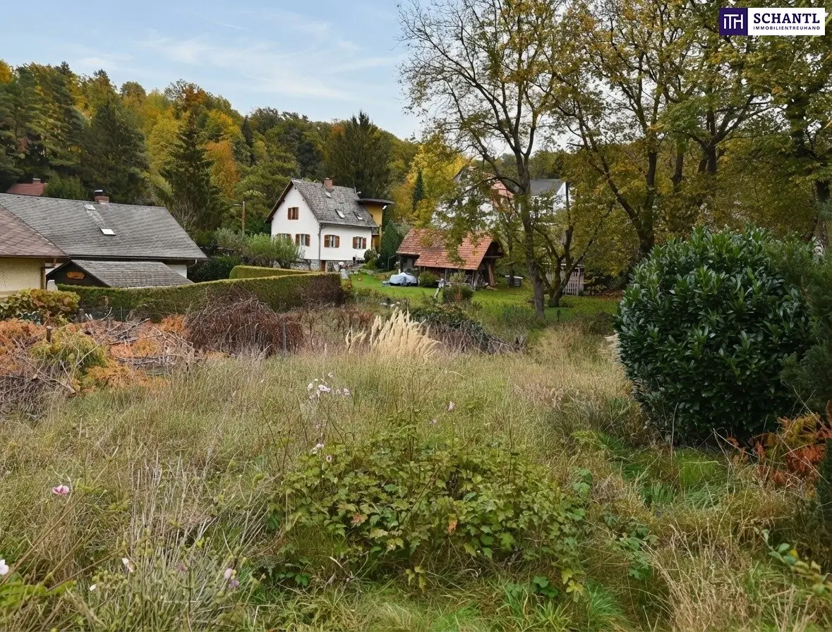 Immobilienbild 2