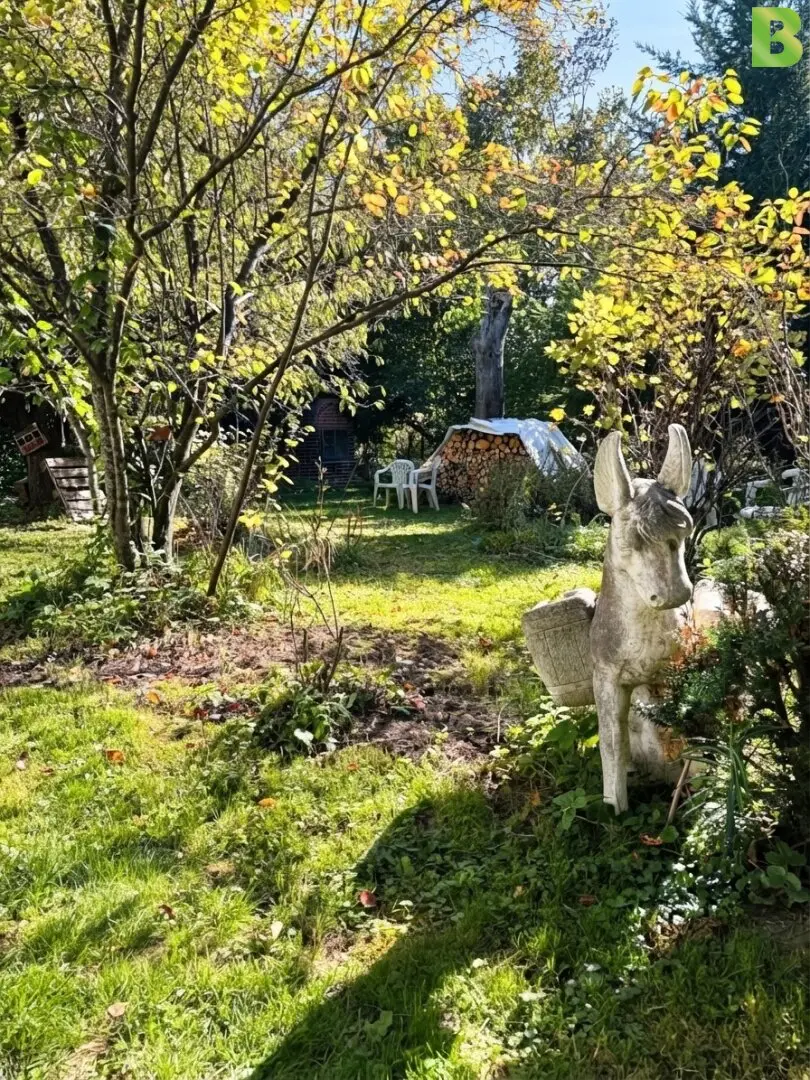 Immobilienbild 2