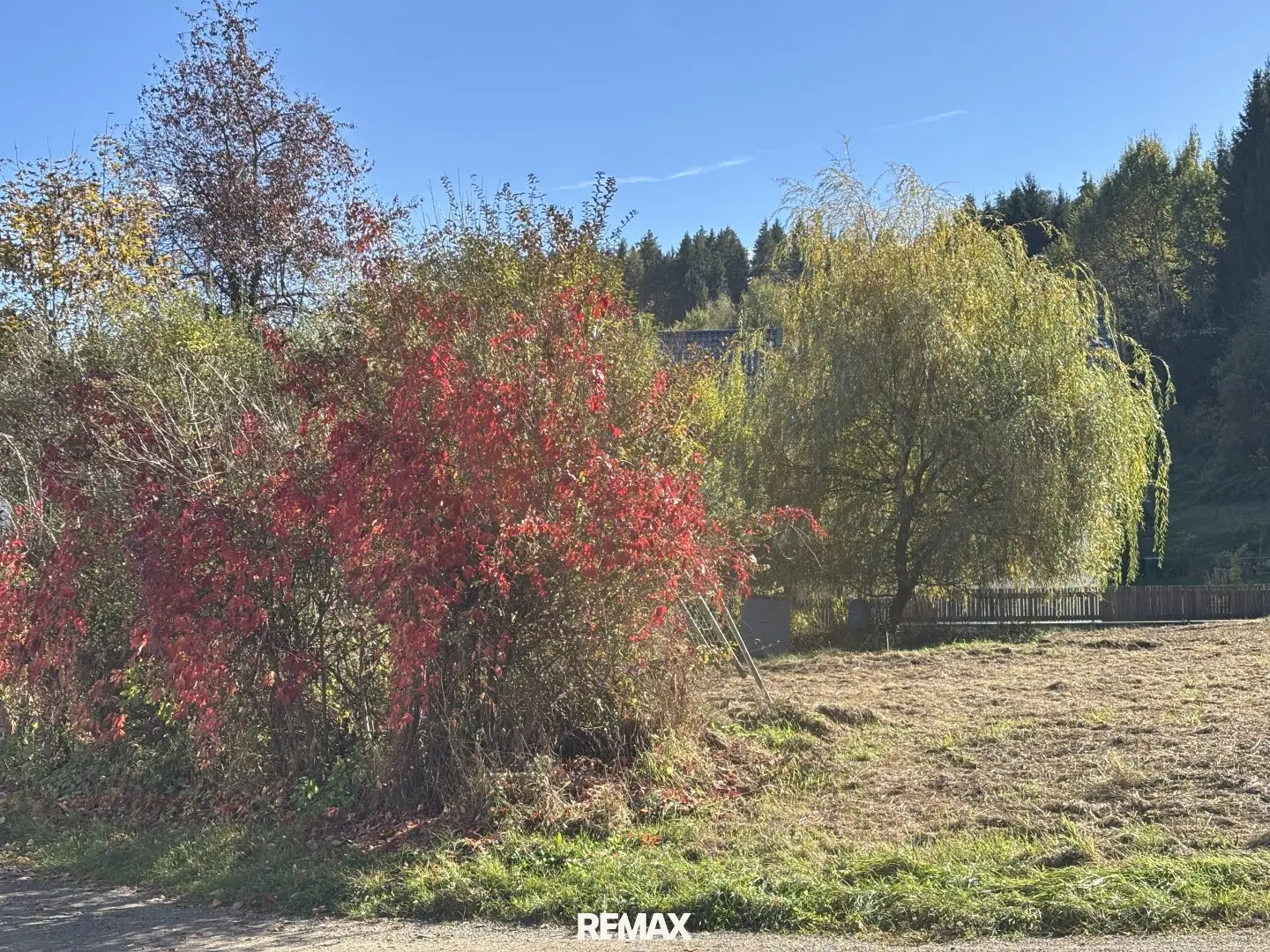 Immobilienbild 4