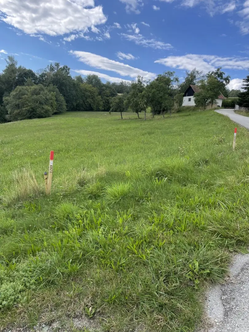 Baugrundstück in toller Lage