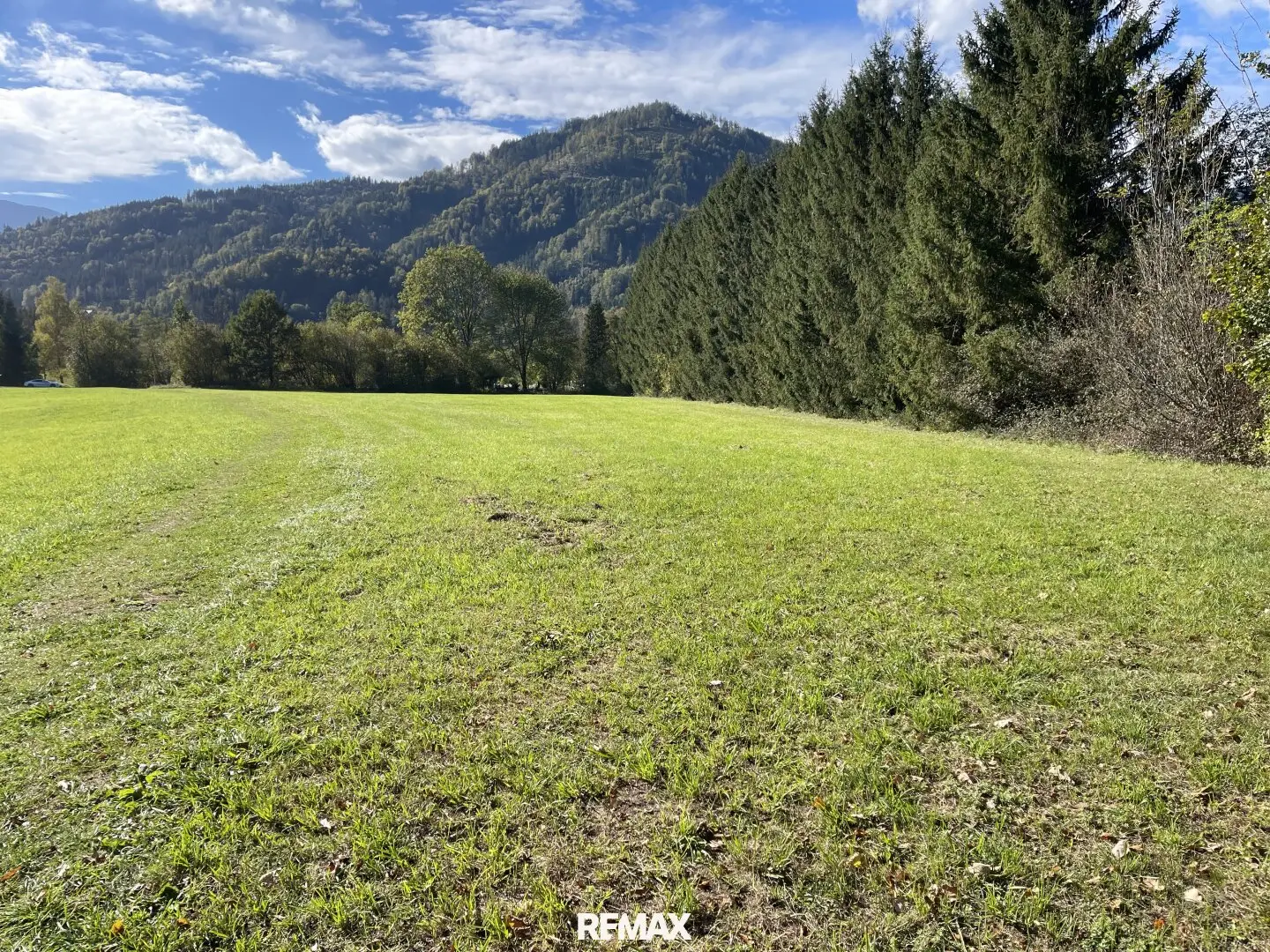 Landwirtschaftliches Wiesengrundstück in Altenmarkt bei St. Gallen zu kaufen,