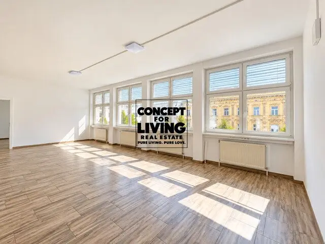 Bright Office/Studio near Schönbrunn for Individual Business