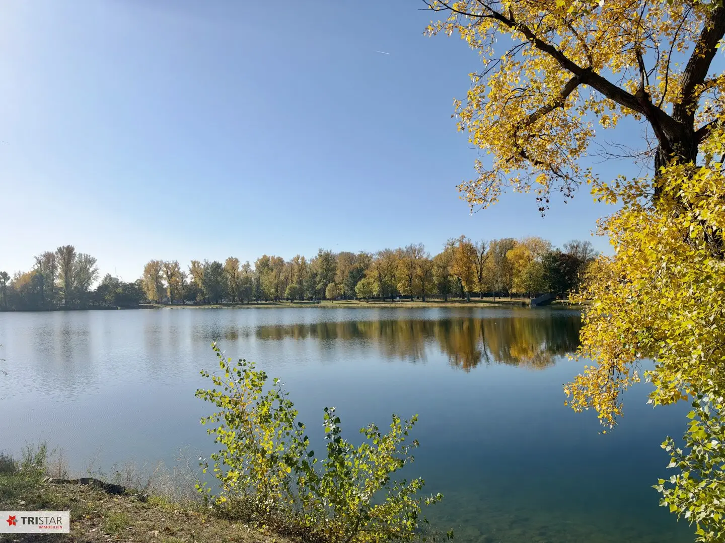 Nature jewel Alten Donau private plot with summer house and new build potential