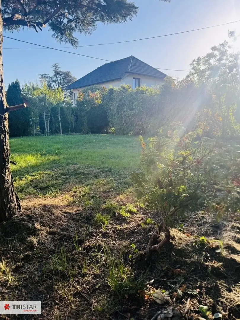 Immobilienbild 3