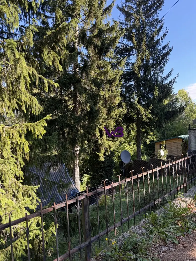 Immobilienbild 4