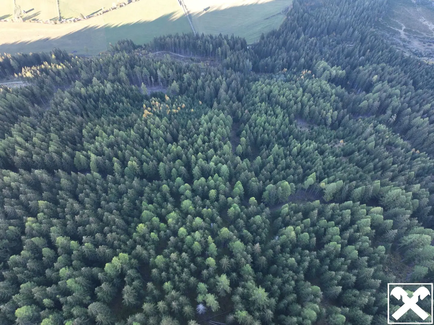 Forest area with sustainable development potential Anlegerwohnung