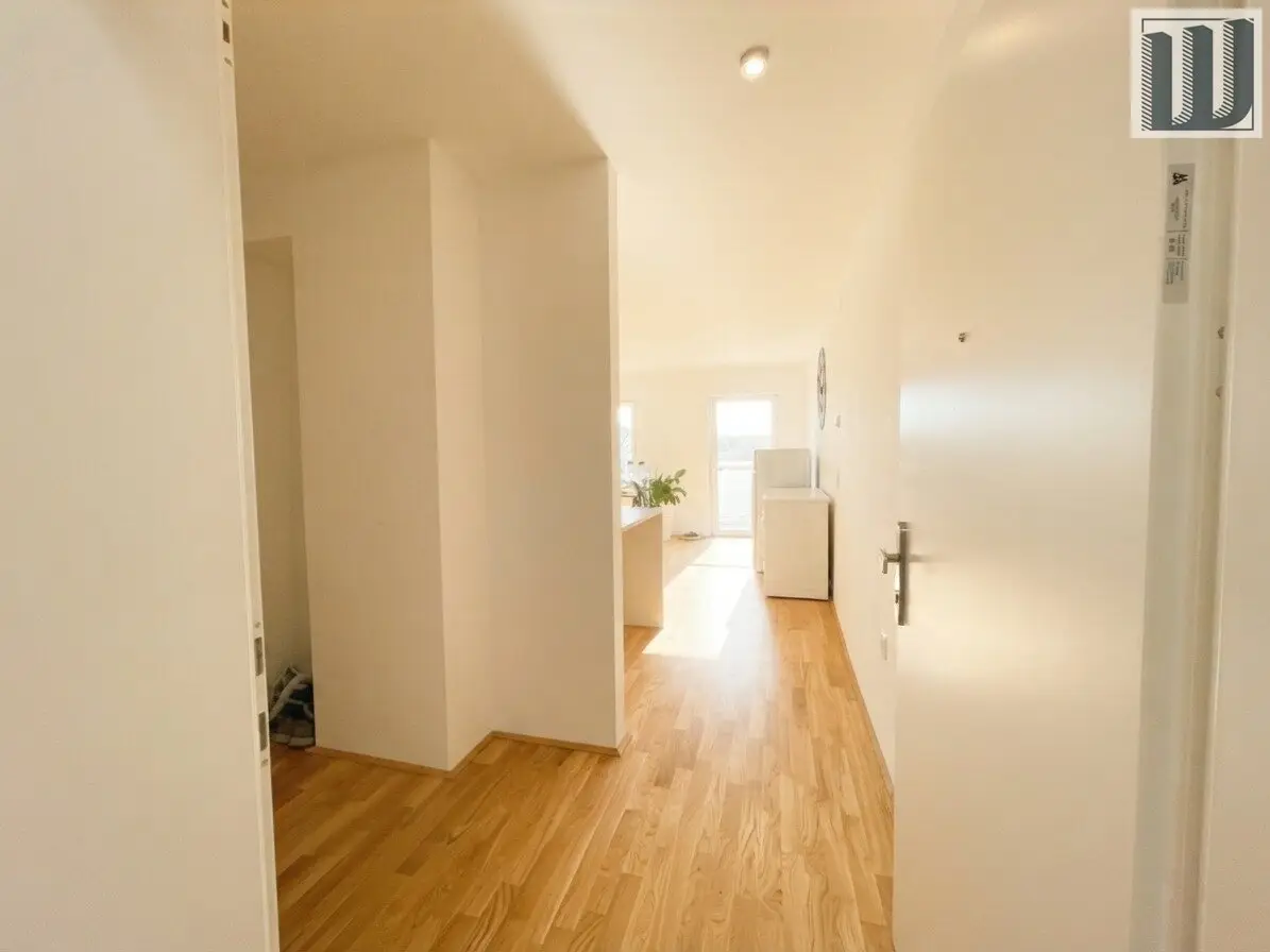 Grundriss 3