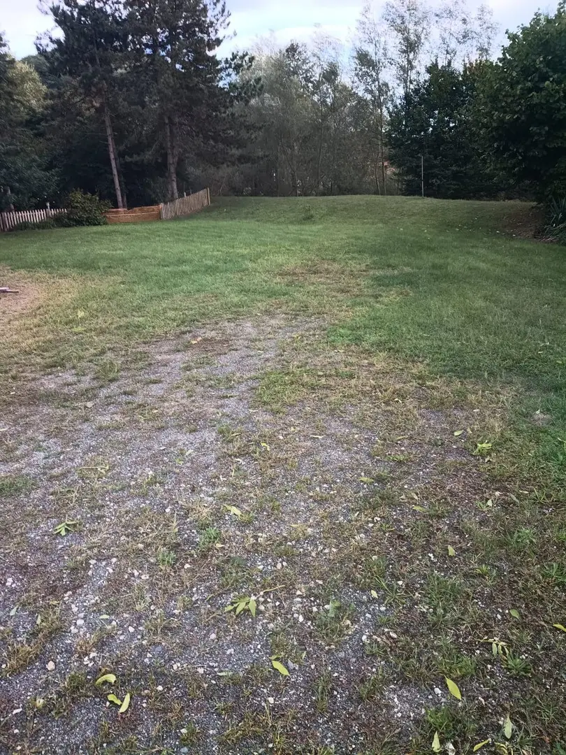 Immobilienbild 2