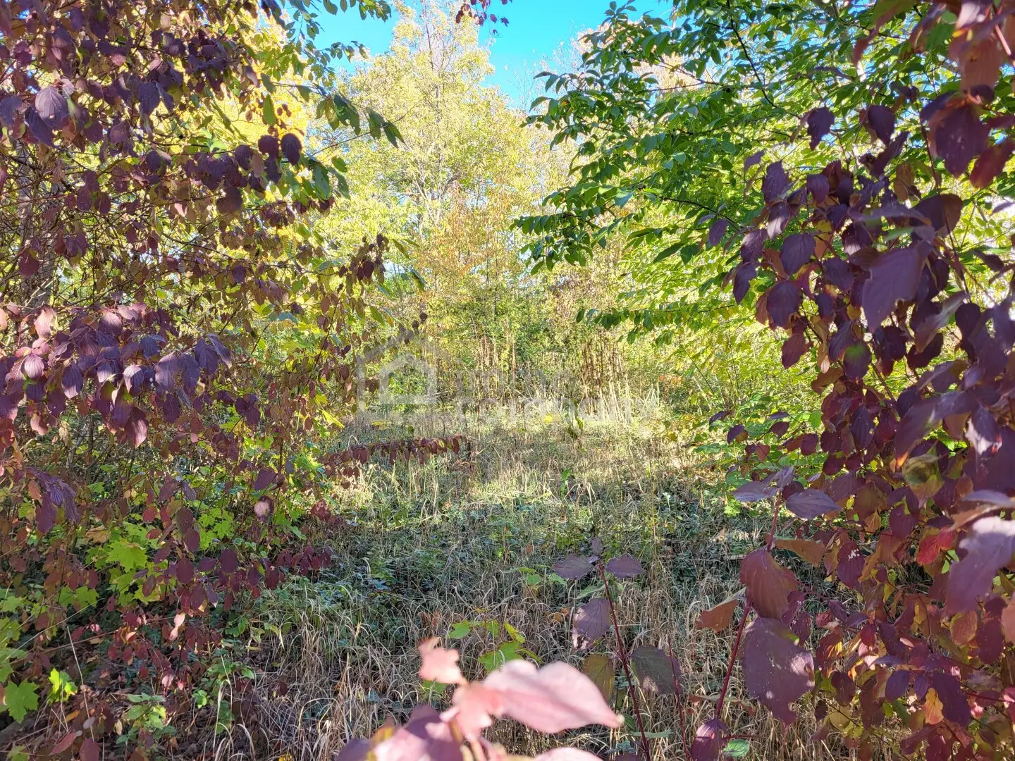 Building plot with 849 m² in Katzelsdorf – Frohsdorfersiedlung
