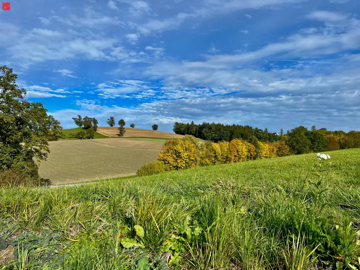 Panoramaweg - Adresse ist Programm: Ins Land eini schaun
