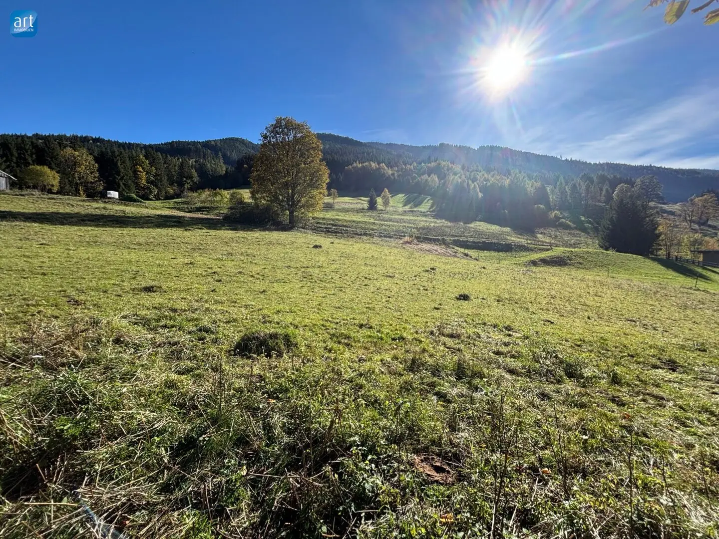 Immobilienbild 2
