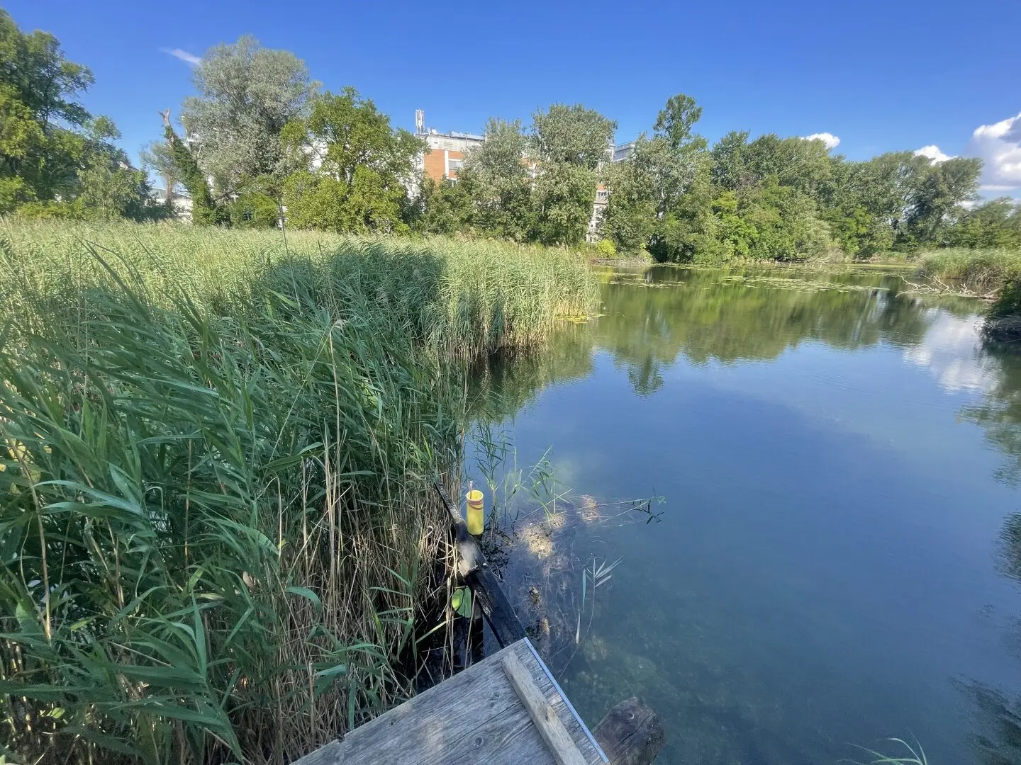 Zugang zum Oberen Mühlwasser, Gartengrundstück und Sommerhütte, aktuell befristet verpachtet