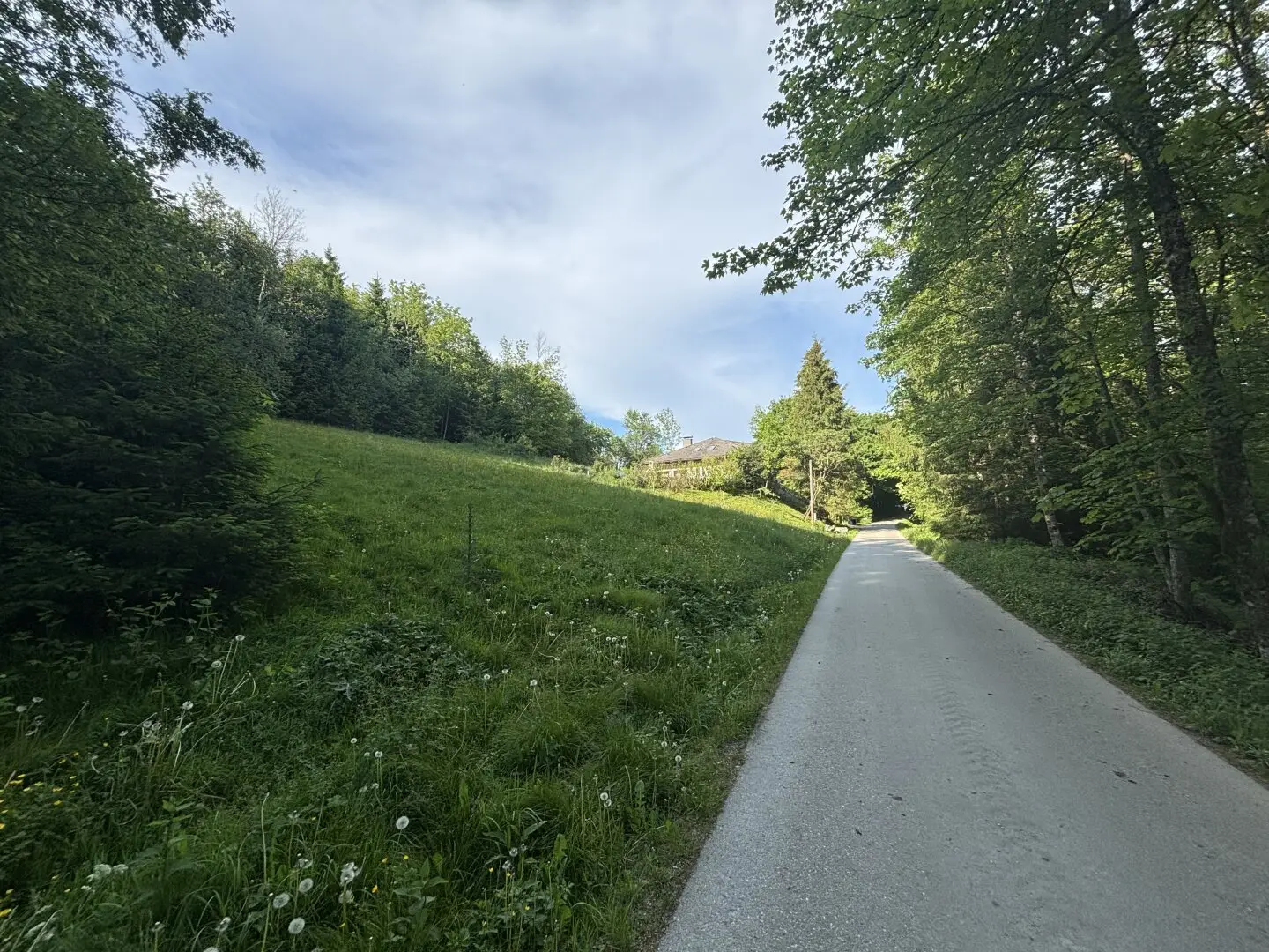 Immobilienbild 4