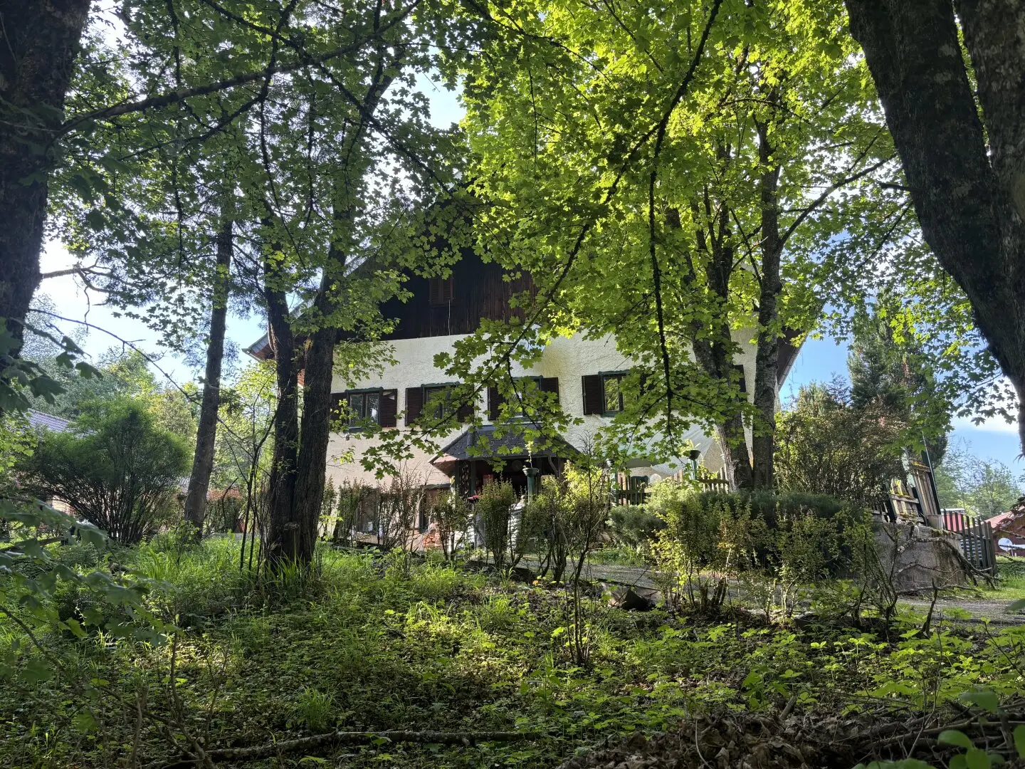 Immobilienbild 3