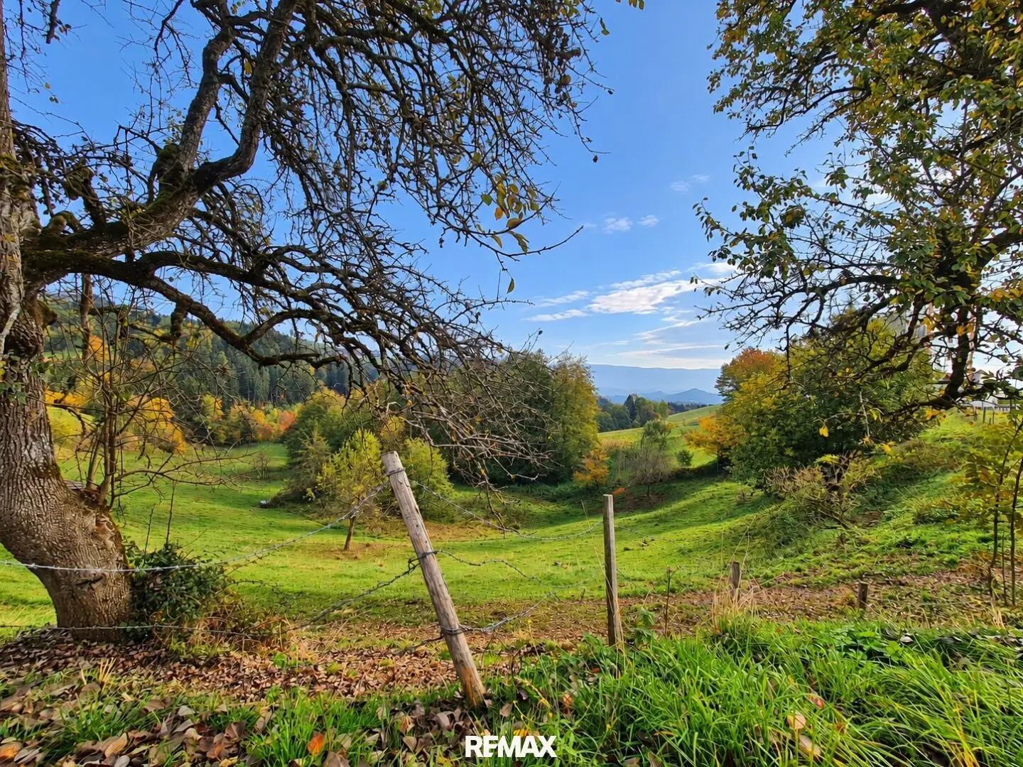 Einzigartiges Anwesen mit ca. 4,84 Hektar Grund – Bauland, Bauerwartungsland und Landwirtschaft in traumhafter Naturlage