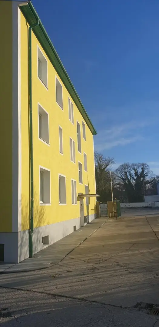 Top Hauptmiethit