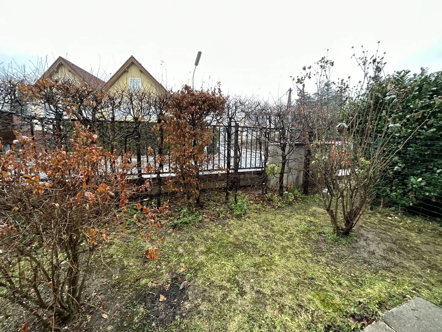 image00077