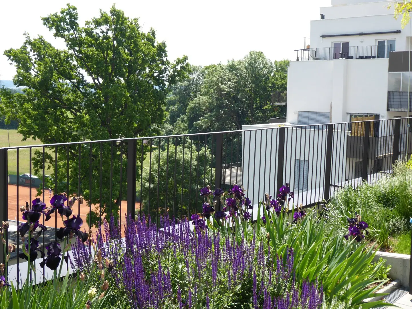 Modern 4-room apartment in Brauquartier Puntigam