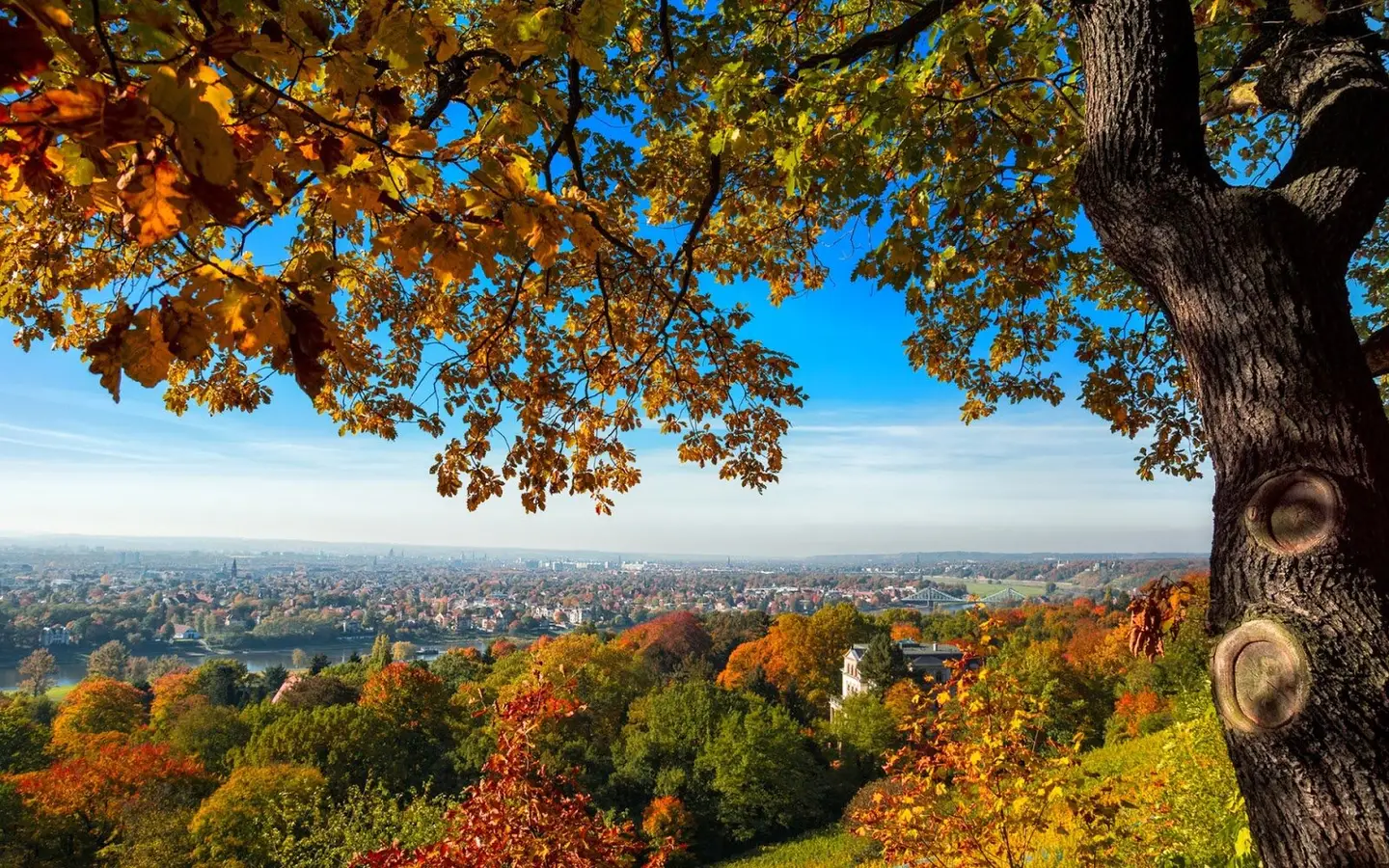 Großfamilie Willkommen! 4 Zimmer Wohnung mit Westbalkon
