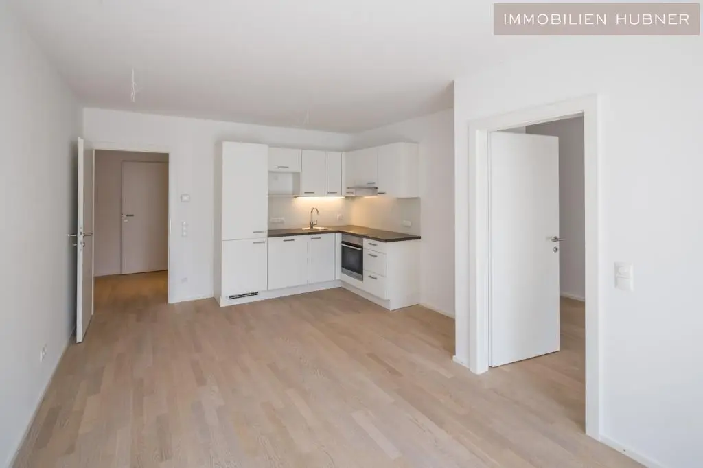 Wohnzimmer, Blick zum Vorraum