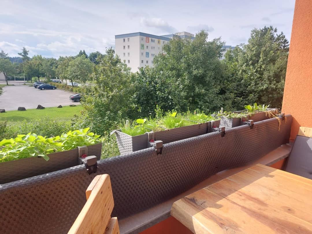 Immobilienbild 4