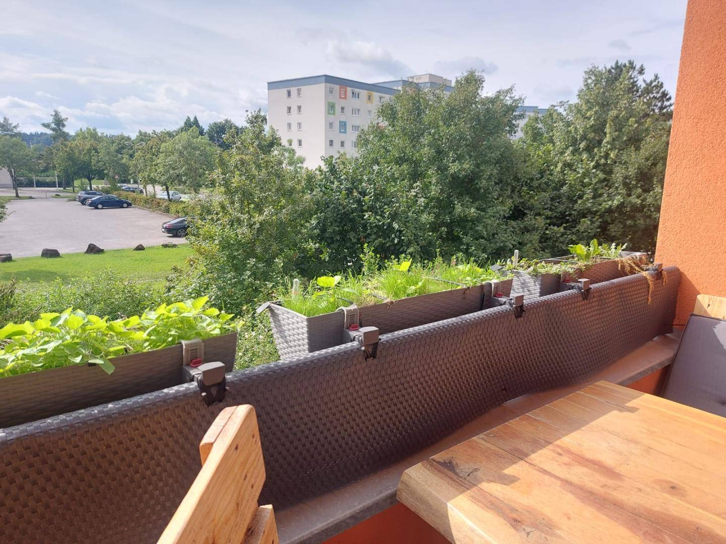 Wohnung mit Loggia und Blick ins Grüne