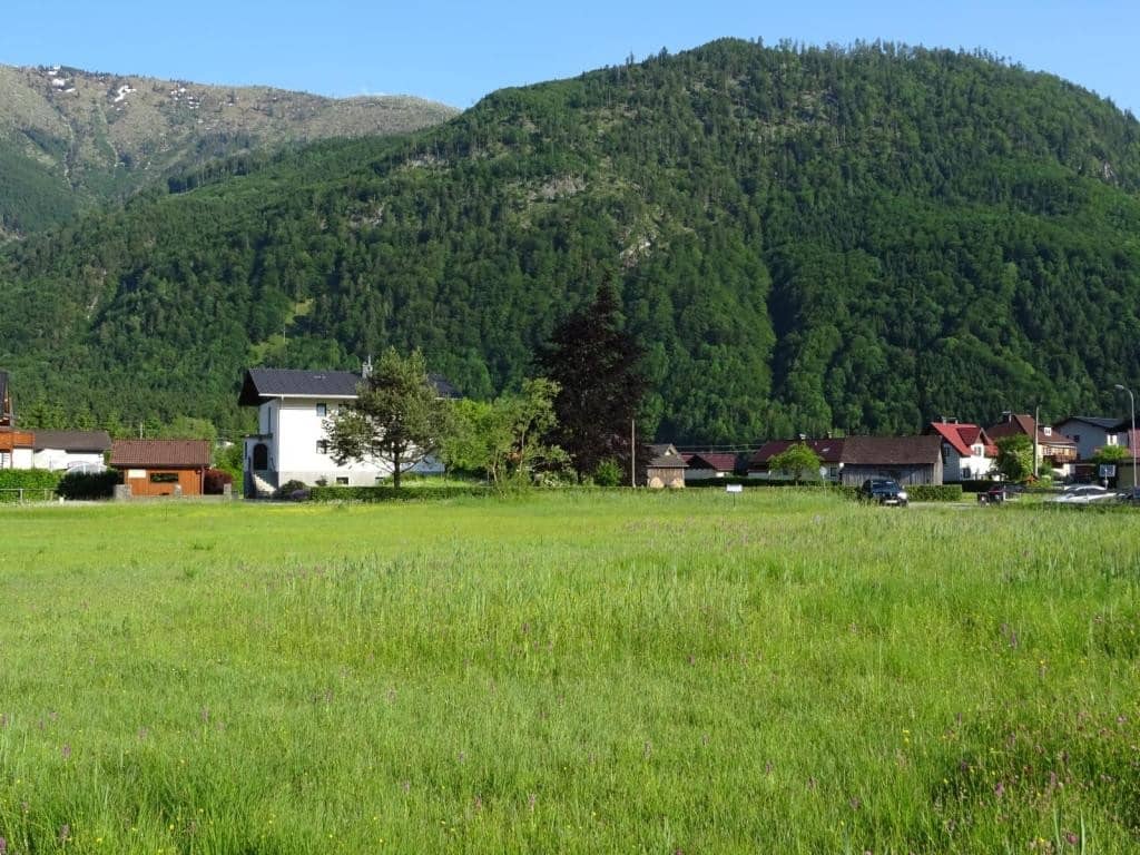 Ebensee: Sonniges Grundstück mit 1.219m² - keine 150m vom See entfernt!