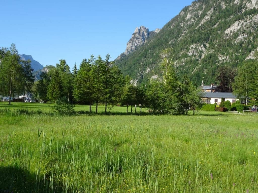 Ebensee: Sonniges Grundstück mit 1.219m² - keine 150m vom See entfernt!