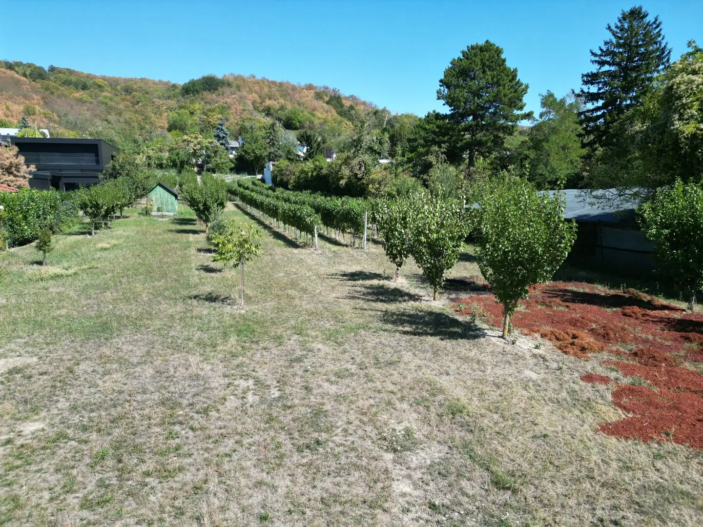 Villenbaugrund in ruhiger Langenzersdorfer Siedlungslage
