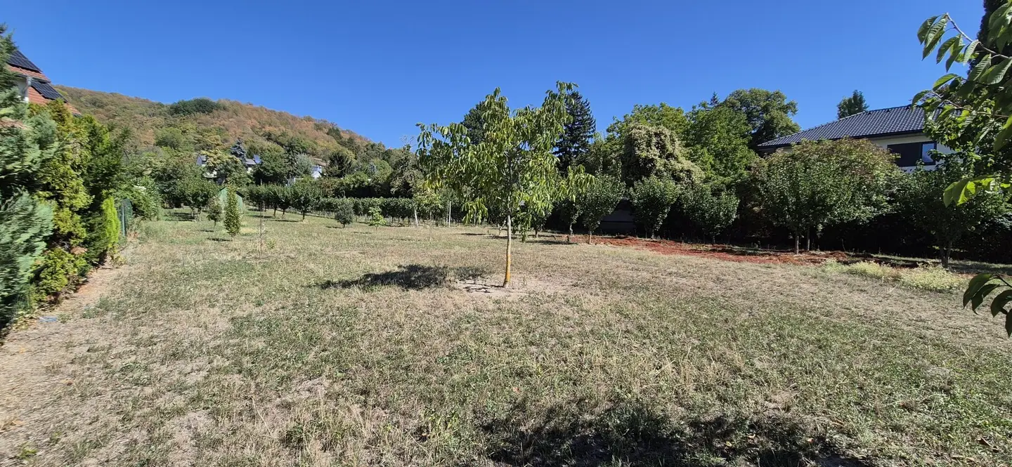Villenbaugrund in ruhiger Langenzersdorfer Siedlungslage