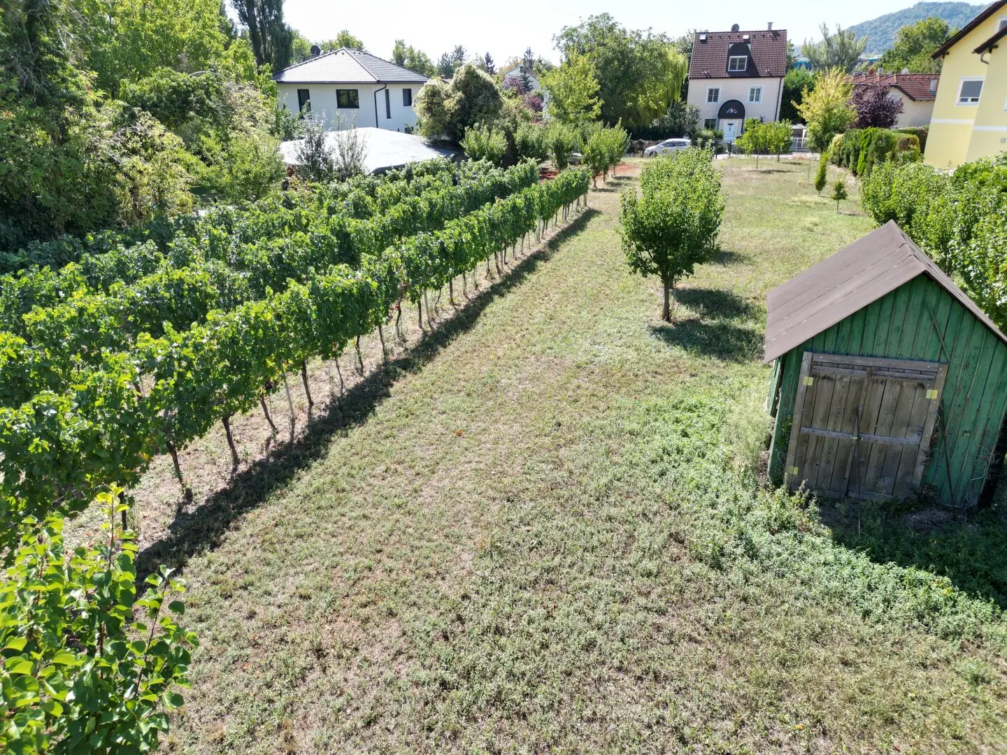 Villenbaugrund in ruhiger Langenzersdorfer Siedlungslage