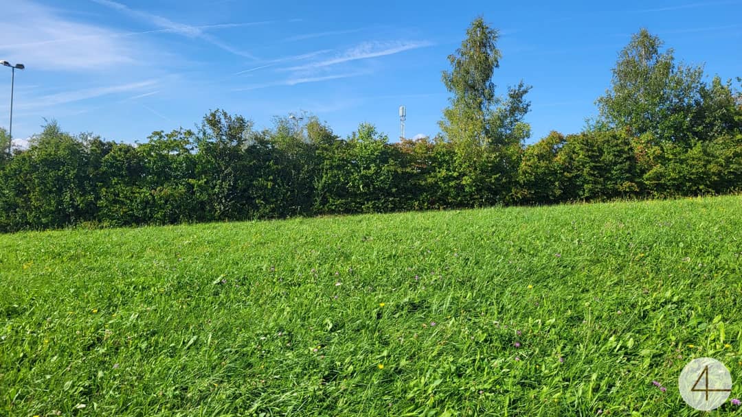 Immobilienbild 2