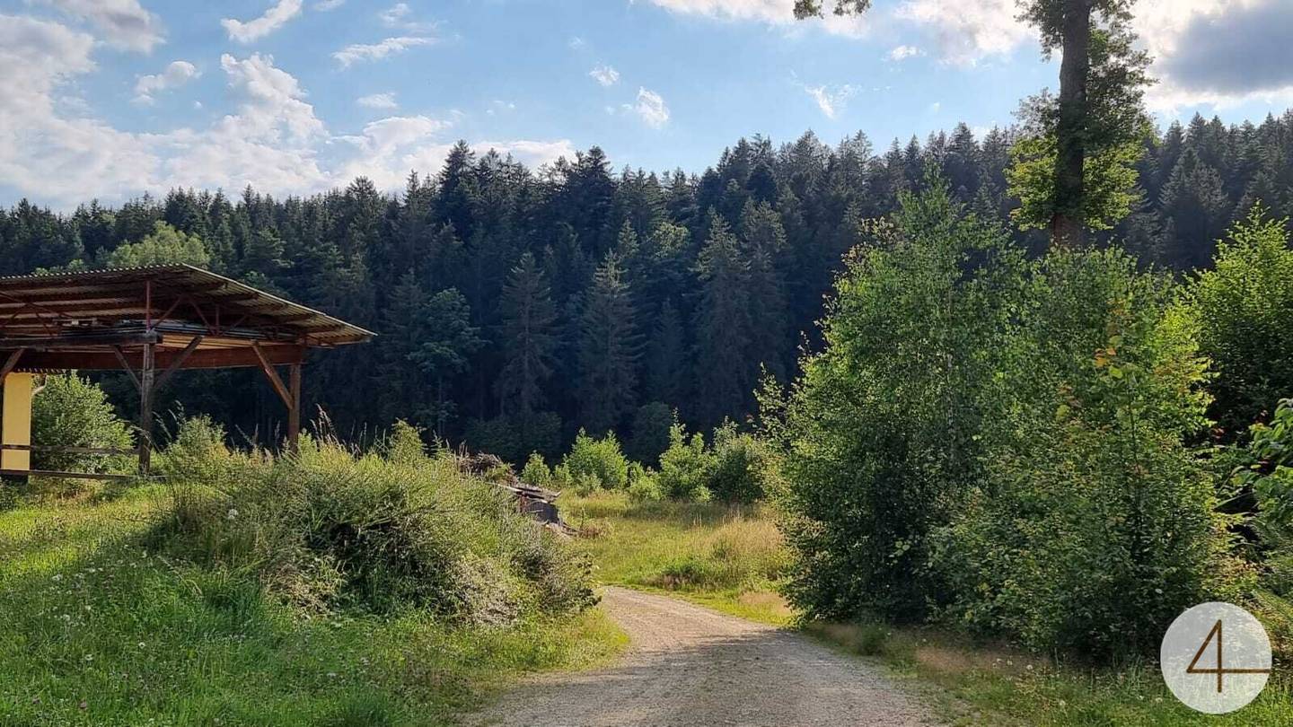 Gewerbeobjekt Litschau mit Hallen und Wohnungen