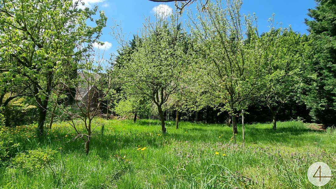 Immobilienbild 2
