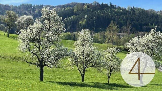 Sonniges Baugrundstück in wunderschöner Lage im Mostviertel!
