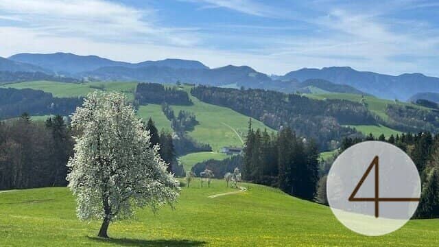 Sonniges Baugrundstück in wunderschöner Lage im Mostviertel!