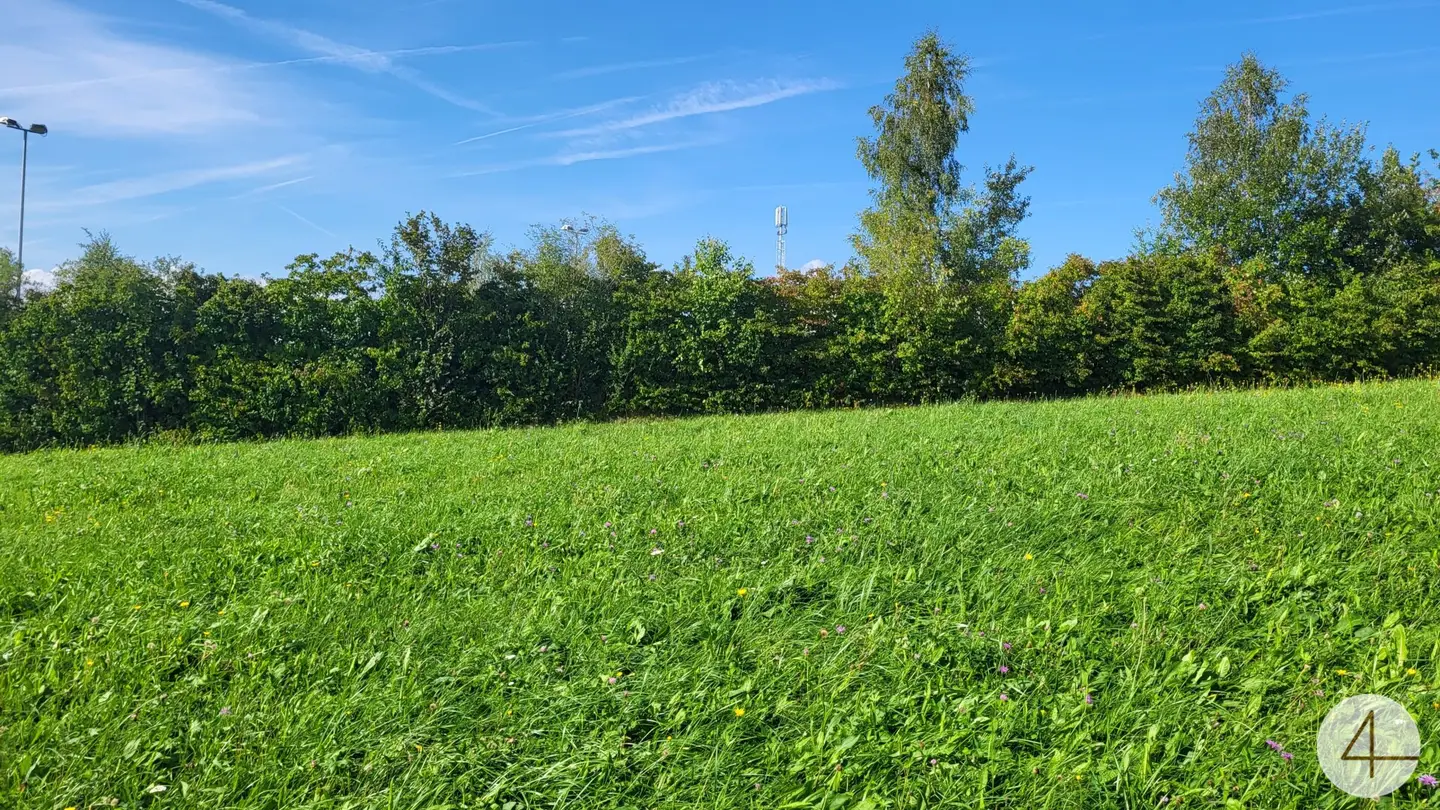 Build your own home in the countryside