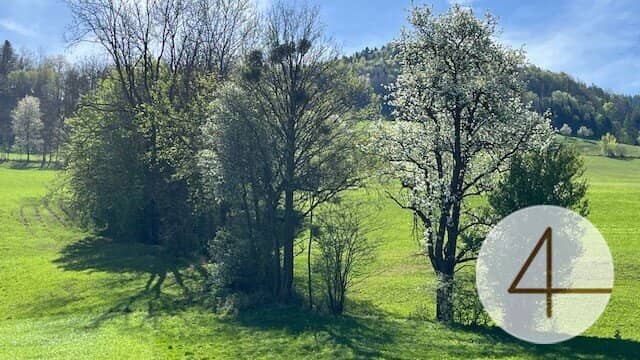 Baugründe in wunderschöner, sonniger Lage! Ein Höchstmaß an Lebensqualität!