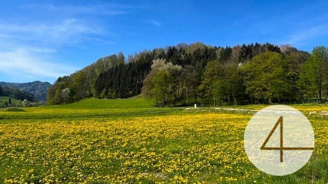 Baugrundstück in Perwarth