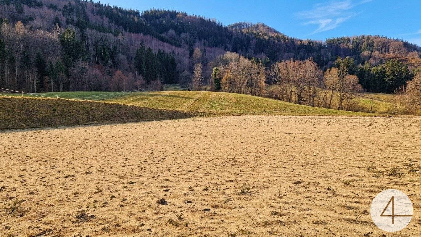 Landwirtschaft mit Pferdewirtschaft in Texingtal (NÖ) – ohne Wohnhaus