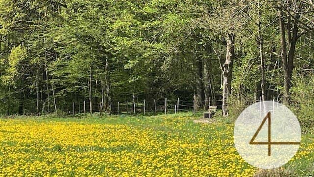 Niedrig-Energie-Bungalow - individuell planbar - Lehm für Ihre Wohngesundheit! Keine Anzahlung!