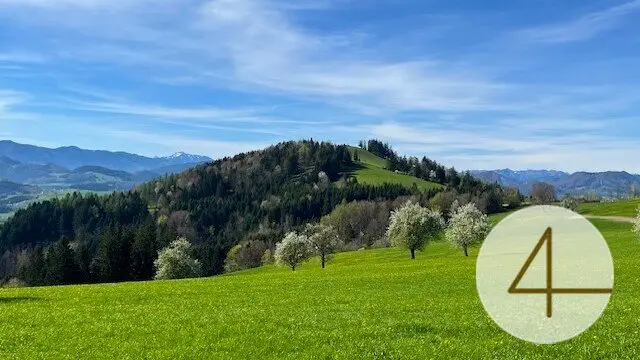 Apple blossom in front of your house in the beautiful Mostviertel - building plots in a wonderful, sunny location