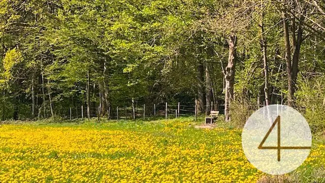 Apple blossom in front of your house in the beautiful Mostviertel - building plots in a wonderful, sunny location